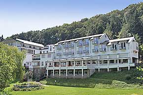 Kurzurlaub Wellness im Hotel im Rheingau zwischen Geisenheim am Rhein, Rdesheim, Schloss Johannisberg, Eberbach und Wiesbaden in Hessen.