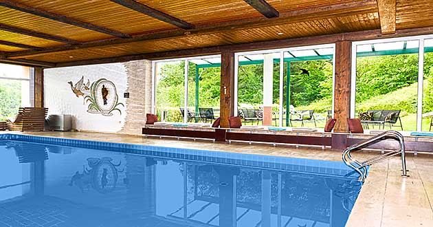 Schwimmbad Hotelhallenbad Pool Urlaub mit Wellness im Hotel im Rheingau Wellness-Kurzurlaub im Waldhotel zwischen Geisenheim am Rhein, R�desheim, Schloss Johannisberg, Eberbach und Wiesbaden in Hessen.