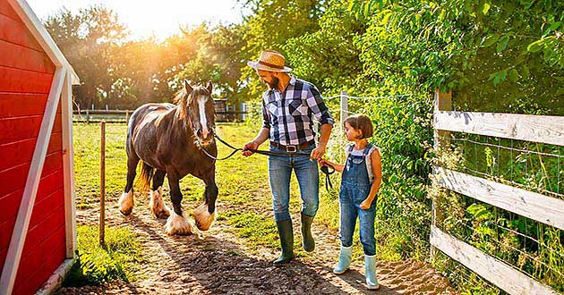 Wellnessurlaub in Ostbayern, Kurzurlaub mit Wellness in der Oberpfalz zwischen zwischen Amberg, Schwandorf, Regensburg, Nrnberg, Ingolstadt und Mnchen.